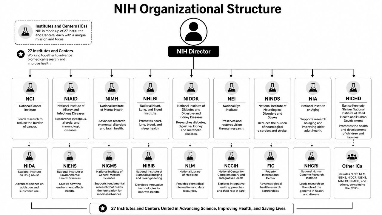 Anatomy of a Budget: NIH Structure and Institute Allocations