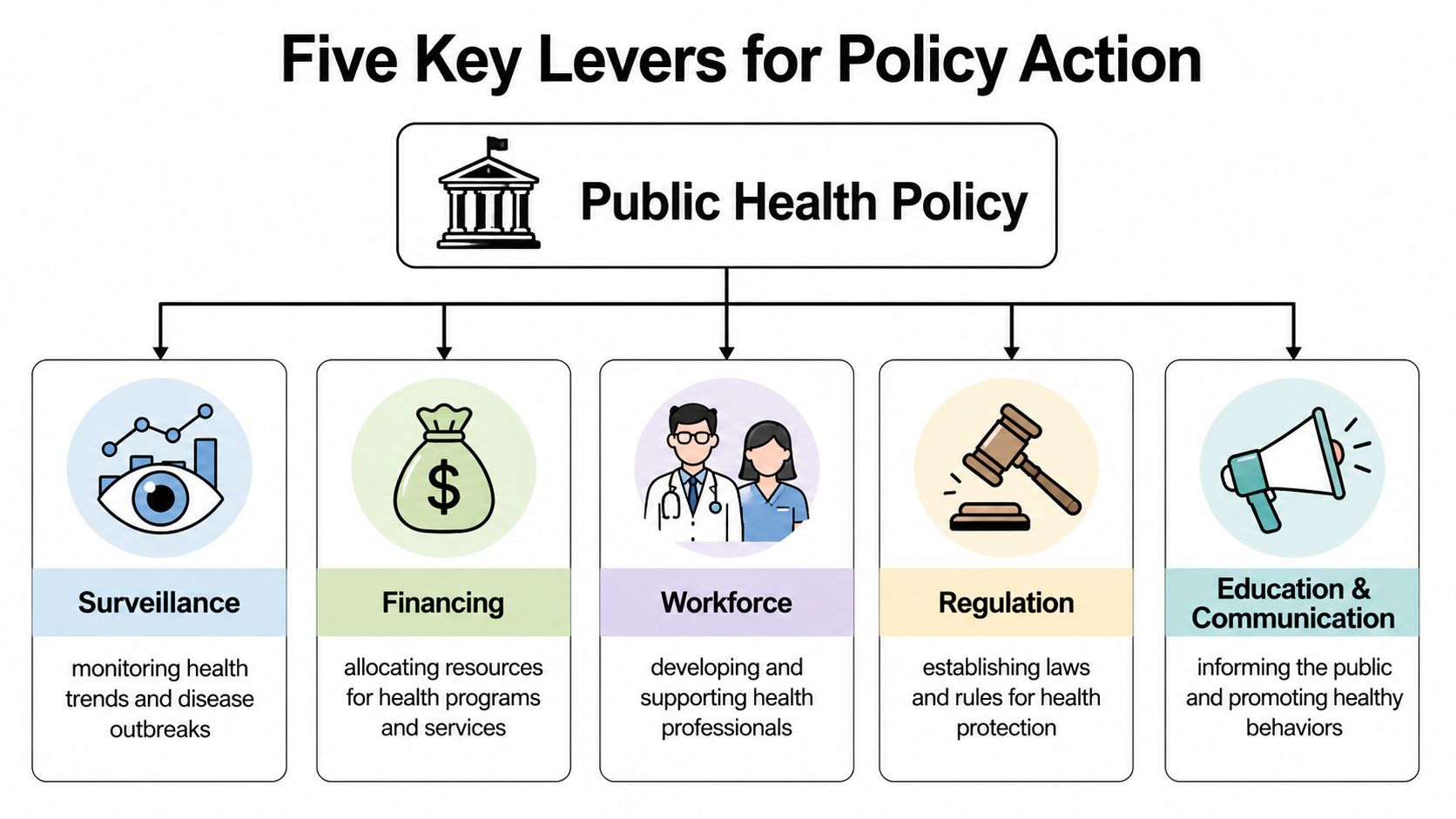 A diagram illustrating five key levers for public health policy including surveillance, financing, workforce, regulation, and education.